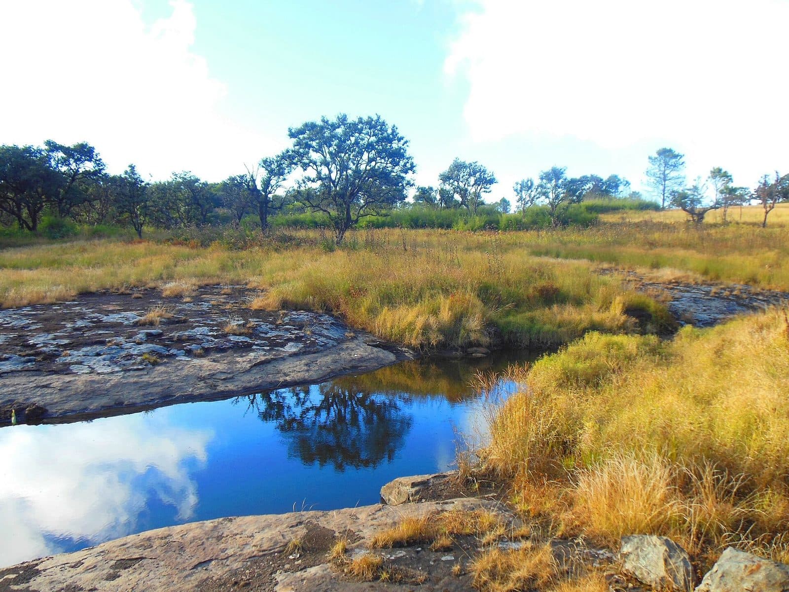 Golden grass, rock pools and scattered trees on Phawngpui, the Blue Mountain
